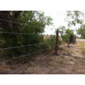 animal fence/ animal enclosure fence